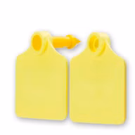 d5337d14abfe3e9c2c72cc5f32f4d070