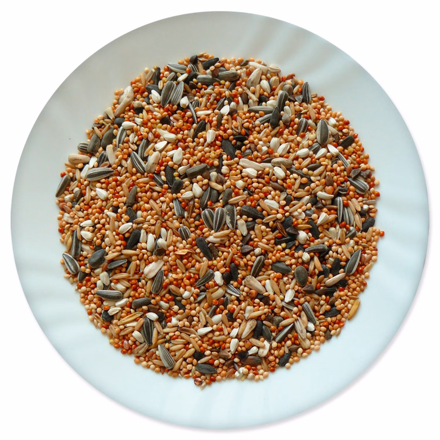 Krmivo Avicentra Classic malý papagáj 1kg