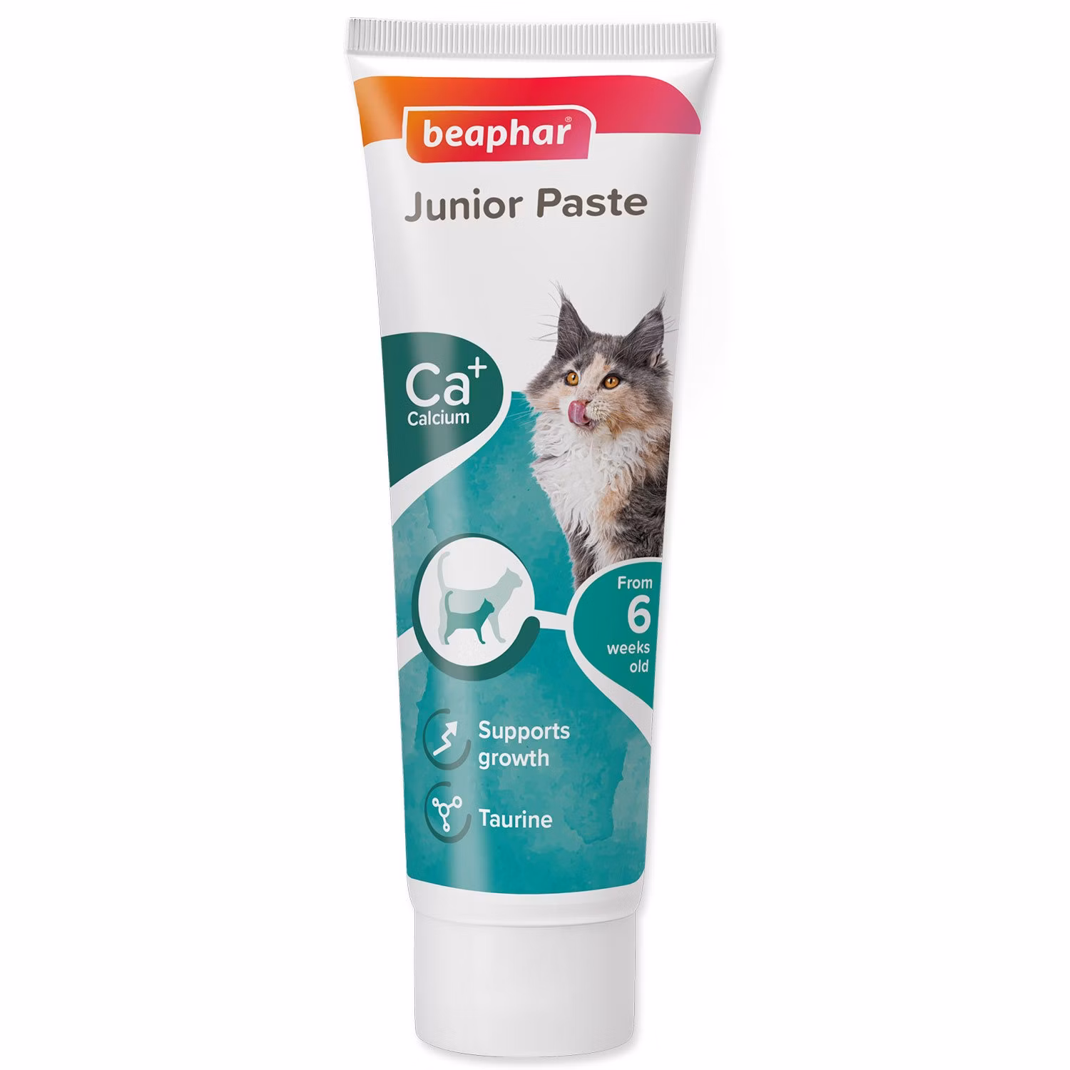 Pasta Beaphar Junior pre mačatá 100g