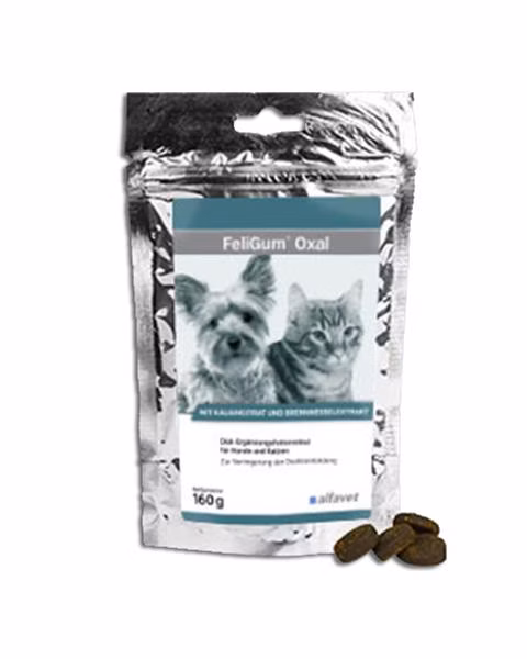 eebdeb6bb4dbda4c9fae8a15b46315d7