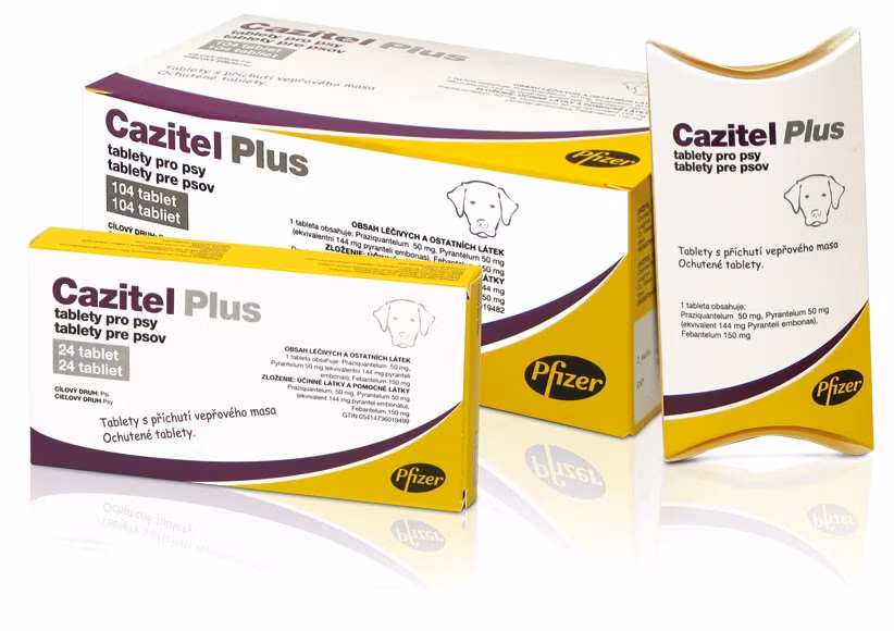 CAZITEL PLUS XL 20TBL
