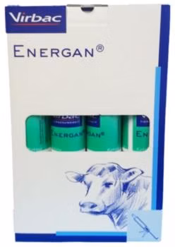 ENERGAN KETOSE 12X300G