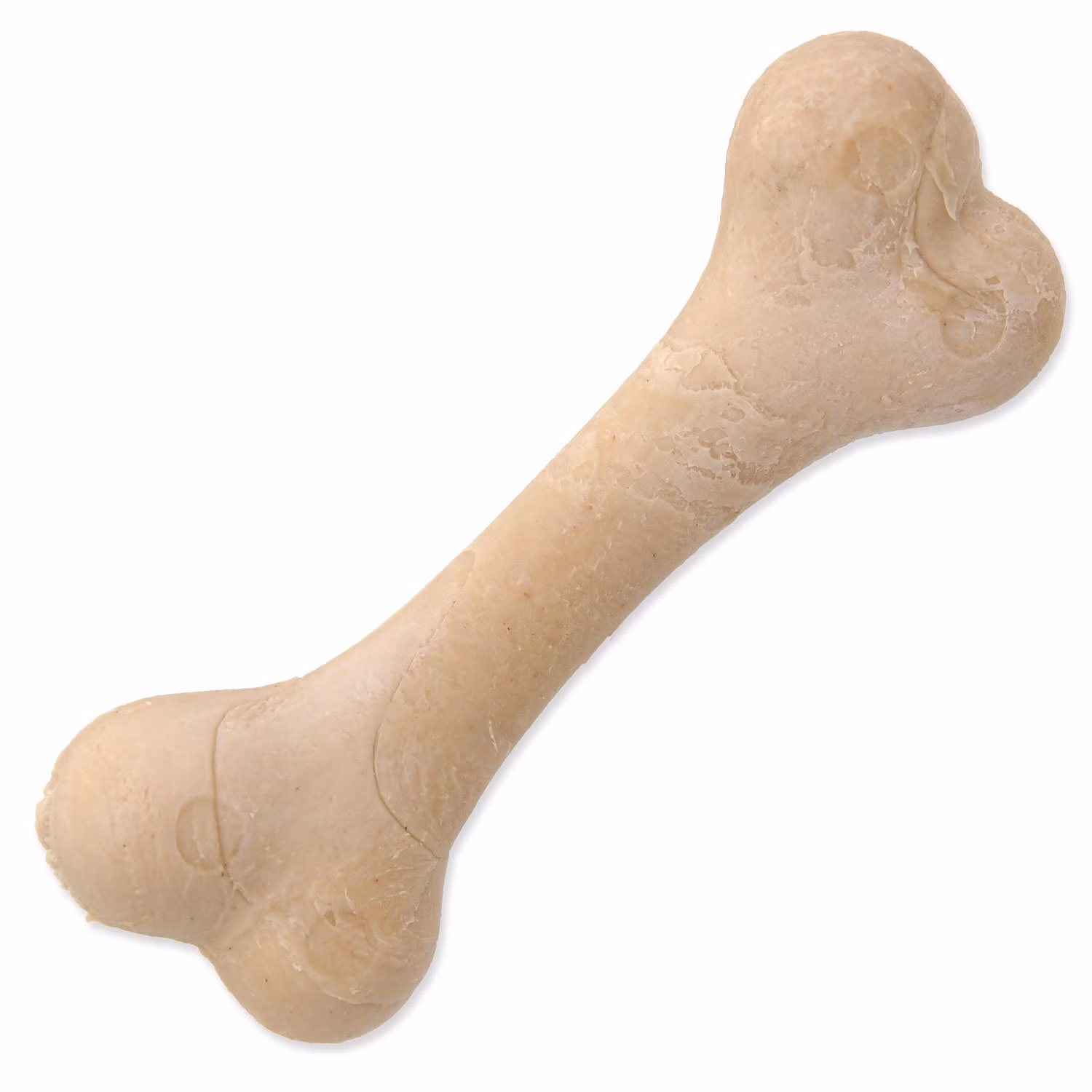 Displej Kosť Dentosaurus kalciová 8,5cm 56ks