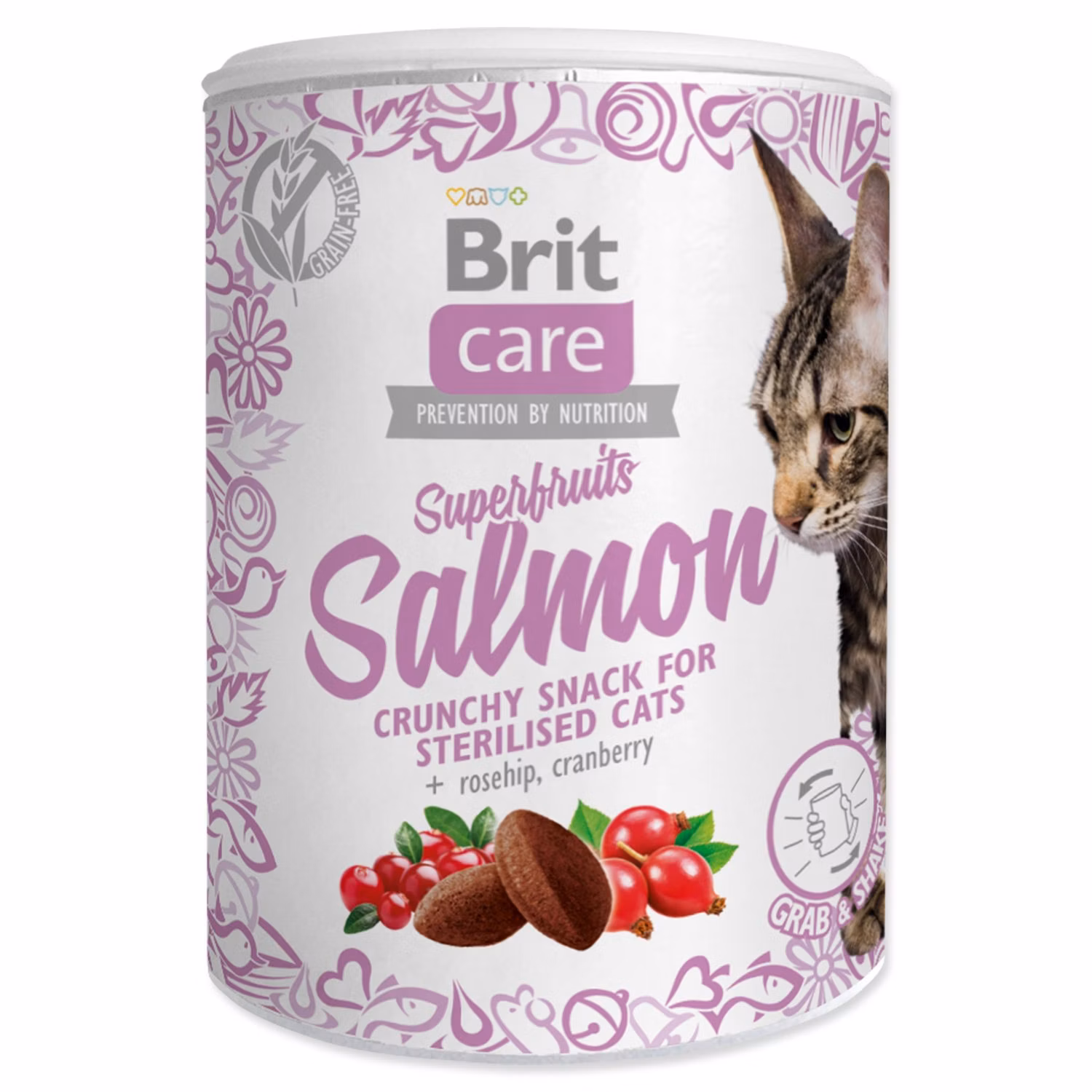 Pochúťka Brit Care Cat Snack Superfruits losos 100g