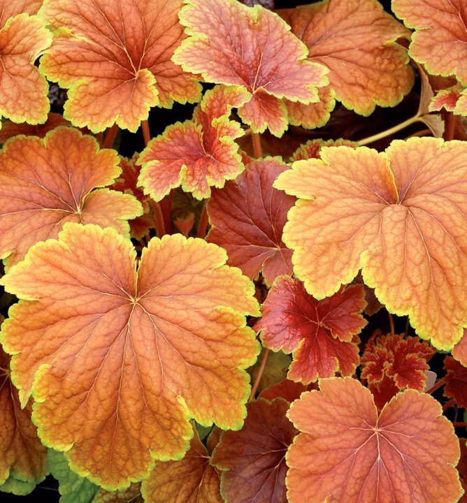 0003e40249b22c432276711f58639cd1