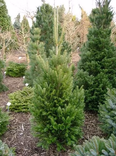 0011caa68dcfb862205d832af2a8faed