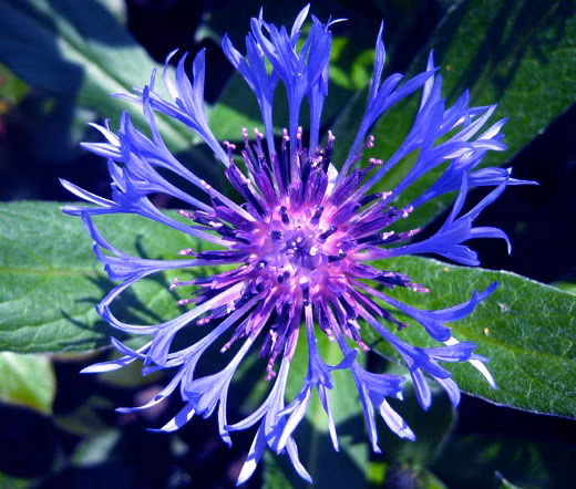 003d3cb0428d5ae88f53b89d98583b99