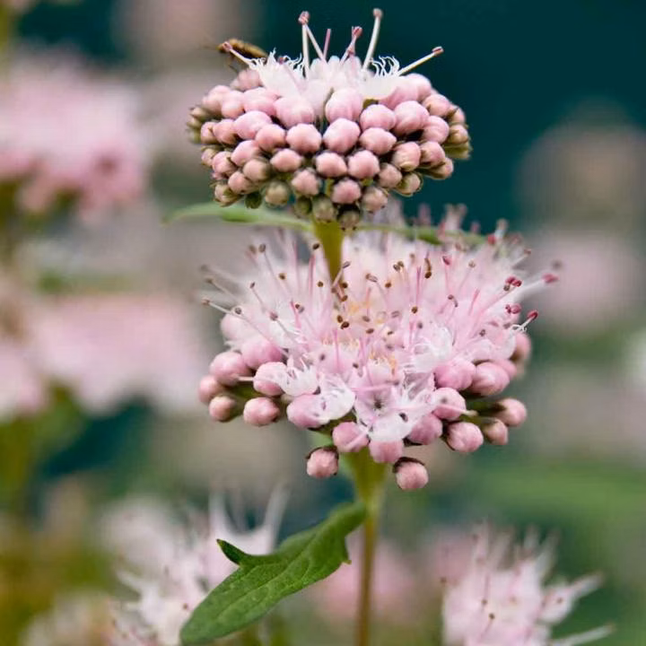 0045d0e3deec8814f96499a76c4eddcf