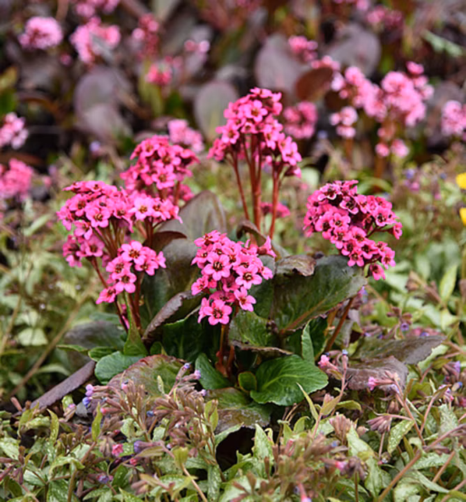 008911e33e820f9407cd80465b525df4