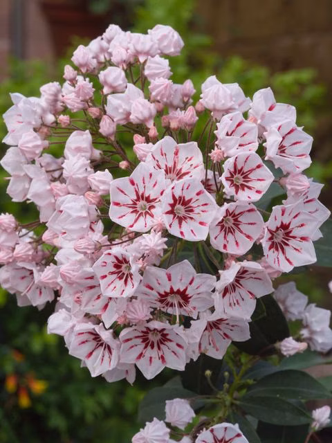 009a9d7eed7e924bb3d24c8fde594174