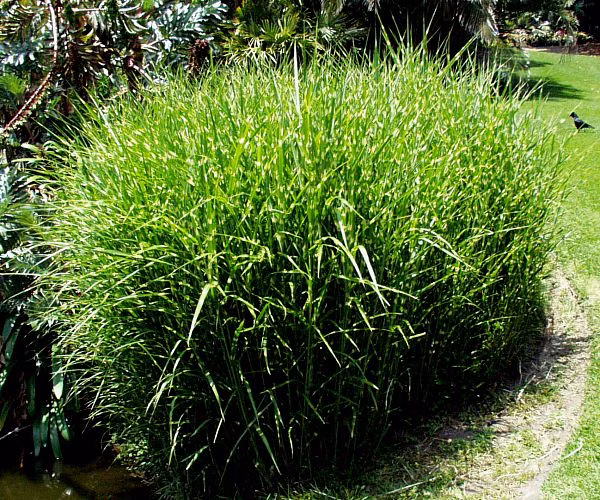 009e05808ac4f07c8ef6423e0aa053e1