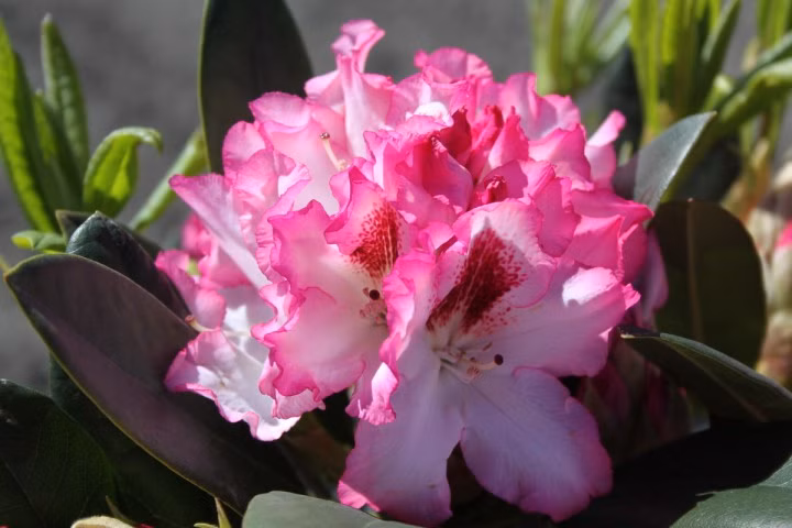 00a4015b4c4ee93eba3c184b71a8af1f