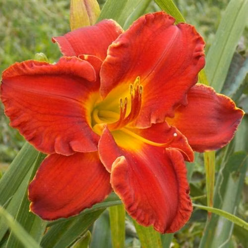 00a79919594e6be6f12e12863fe7a95a