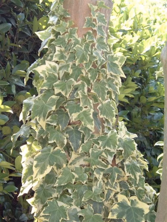 00e3e228affa4284da4d3a02cfe04be4