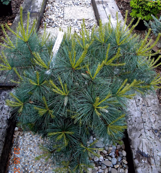 00eb043eb43592181d0b9cf1d7f611df