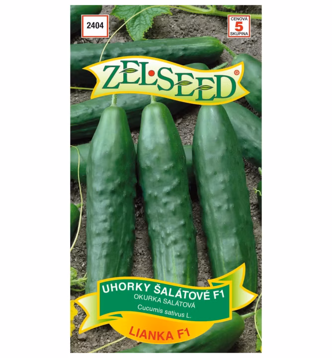 00fa1e34675296e87a0914f6392fd486