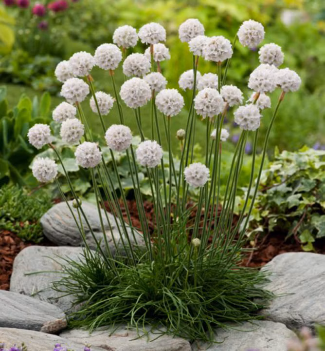 011a6d9d3131b6afe0cbaff884958070