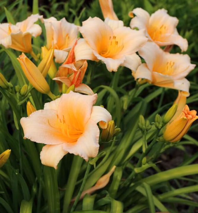 01428871077cf1785cbe2e3ab2c5e342