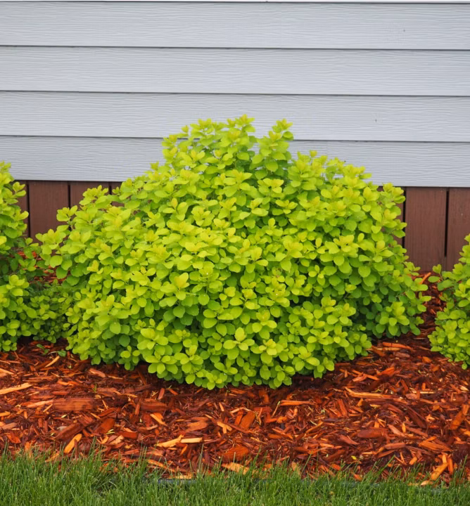 016c657e731938dd387fdca3600ef4ef