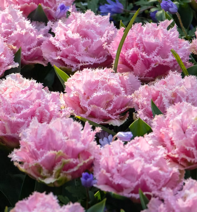 0182a1c074d2f94ec27b14f3cff78fb9