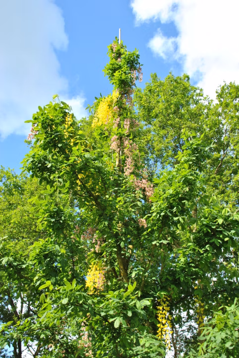 01b0bff2ffe50c3ef790899015033332