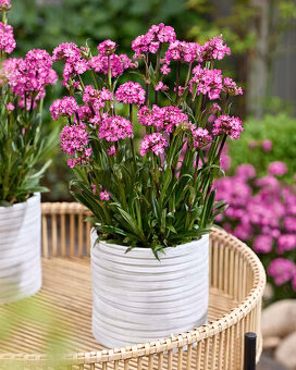 01ef1ece71e54df7d3868f8895773a93