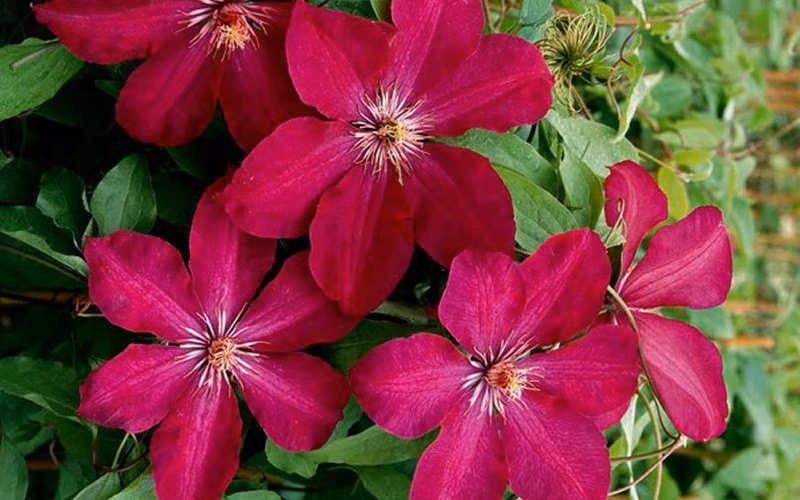 0236a4abdad3b75660516b574538e2af