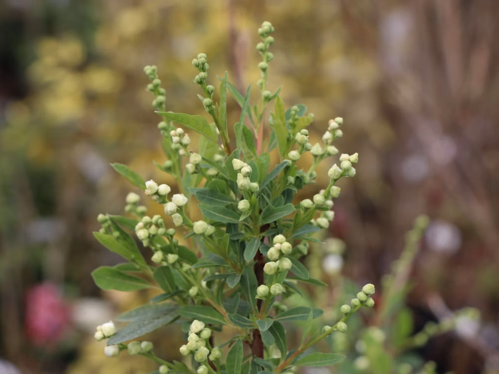 029de10d3ca140ca834fb7840c6c4e39