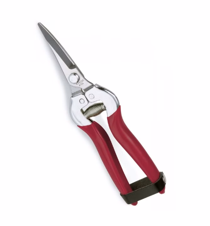 02c8f334b9b40ec59fb09c9c0f205d67