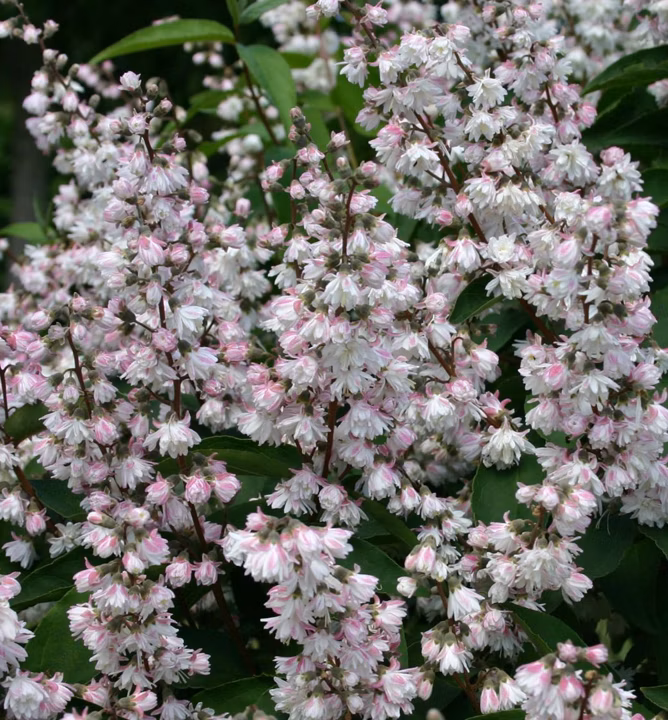 02e24281904d20979cfff5917b3cb8bb