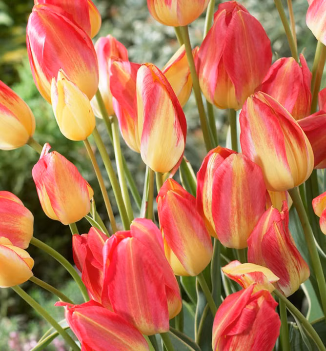 030ae3ba6847f06aa8eac9b970d9bb98