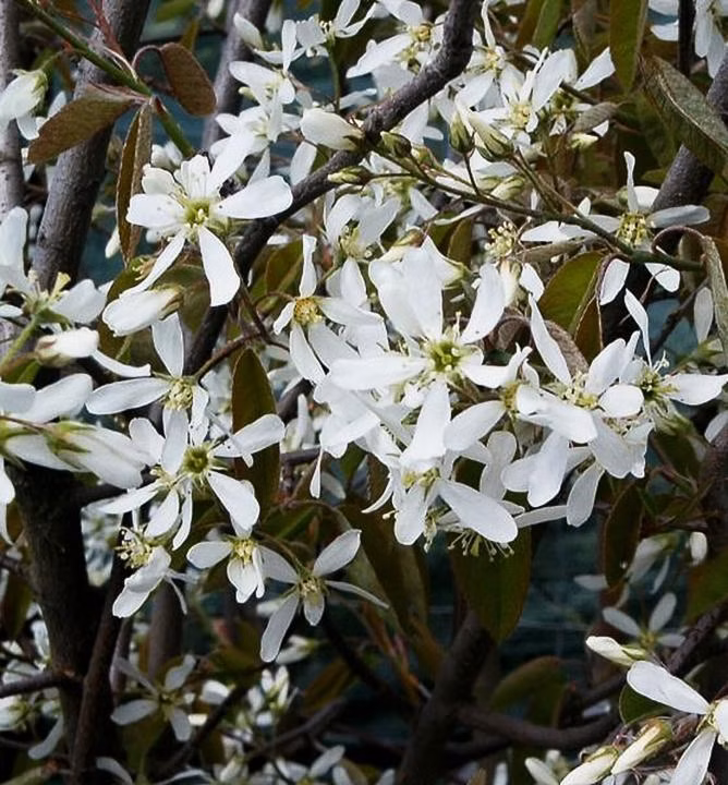 03226eaeef324a7cd75fe6048b5f9f3b