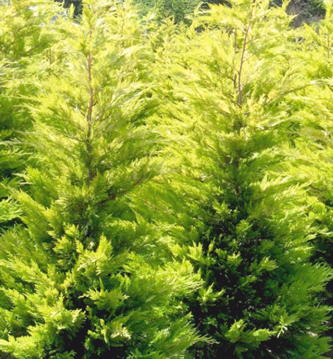 0371562e79771759f359e84f6f8de659