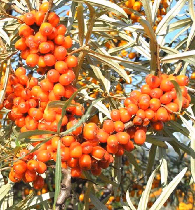 0374b3a0be6584a7e902d34de9bd356b