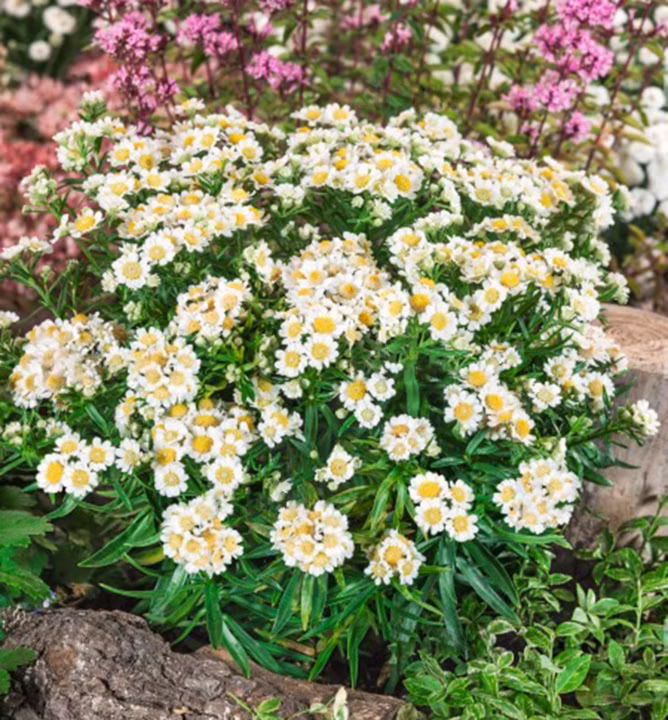 0387ecfa82a1cc4d1c096a4d20c9f6ab