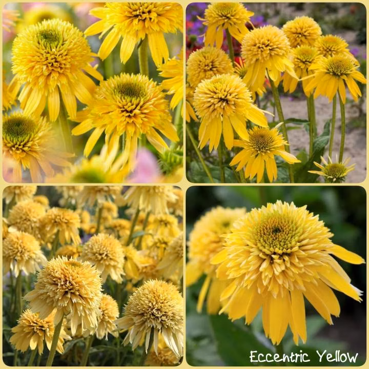 03f8d3e37193dbac91f23bc5578d4fff