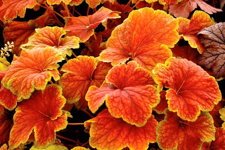 041483155ae4ab6f23b219000925ee18