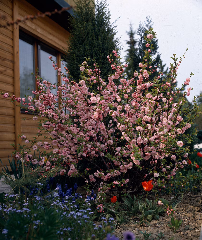 041fe9c568441d1e10f700bc2b9b85eb