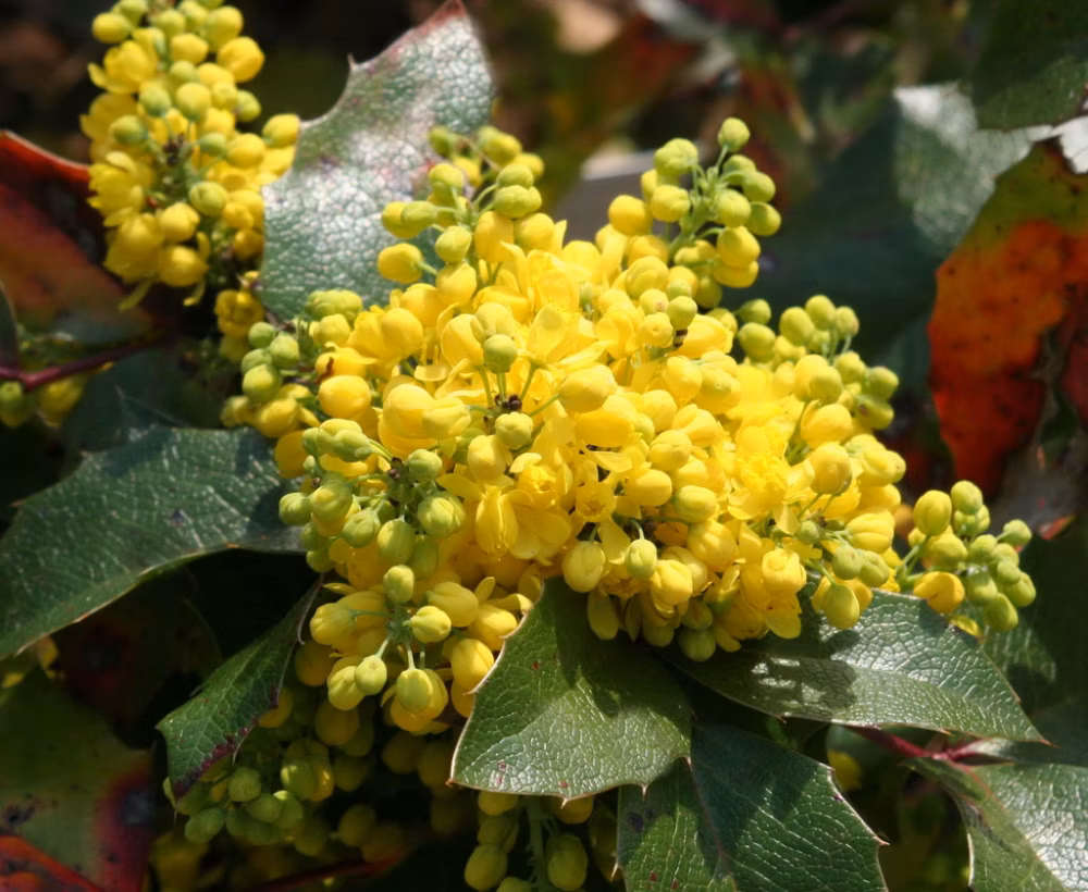 042217ed83f371e139651f34dca89c42