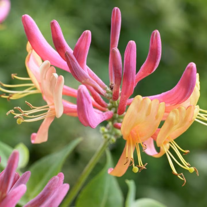 042a27a3364464d7d0a76149e5f3d3d7