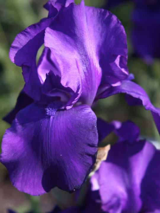 0430d672a82c41a43f3a03ecf79f5330