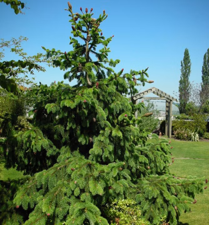 044a35b05ec2b73e2a4aad1dccc96cbf