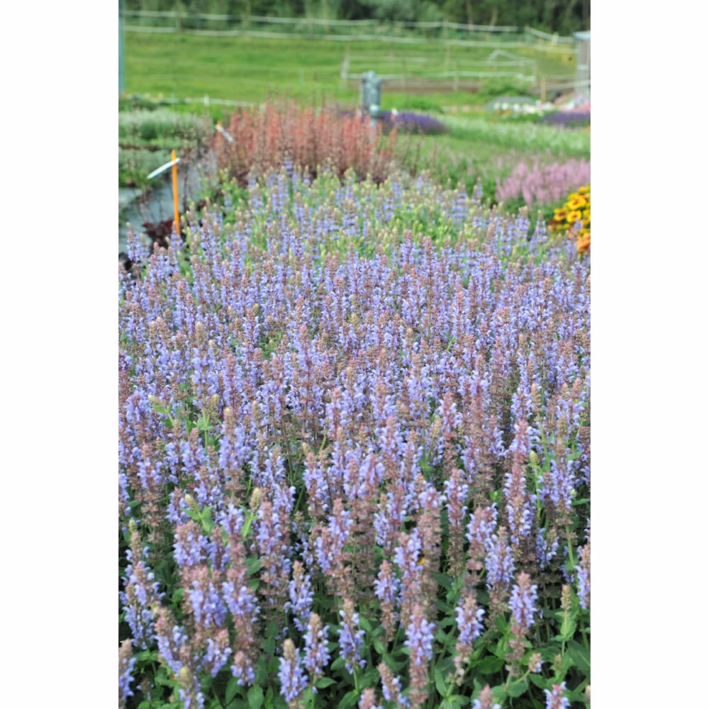 0459b1302fd3727e7c53660022a848d2