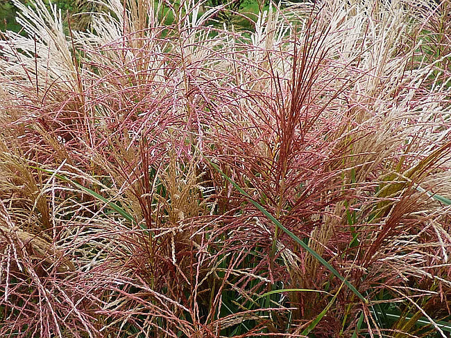 046d00203f9373875eb6313b96cacadb