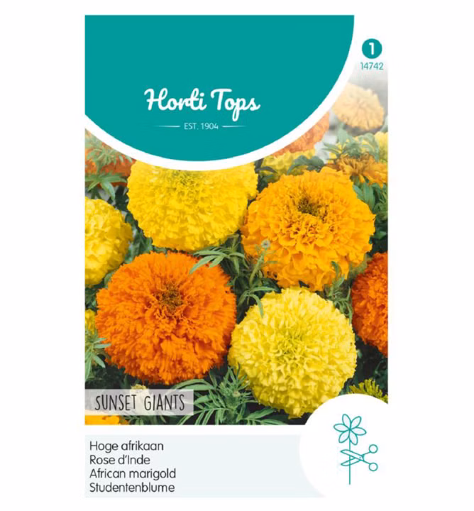 046df819502efce0106a34d9fdd45649