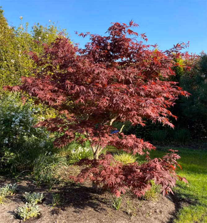 0480277ffcdec2e6cbfdecaad0b00424