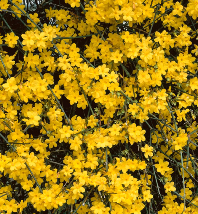 049b8257284f751c068603a1876f6512