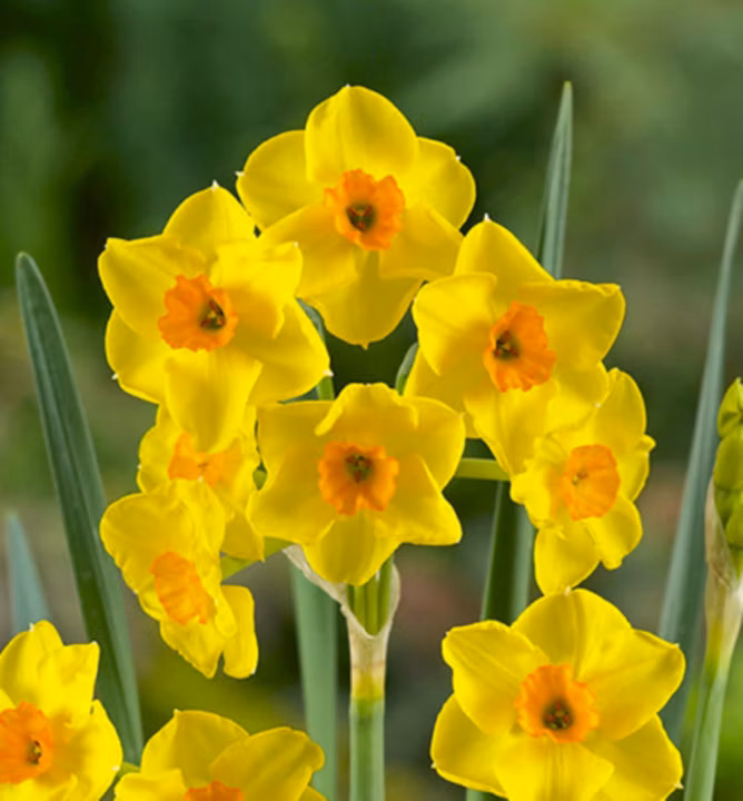 04b4a23d2f6f440c37f69d581055695c