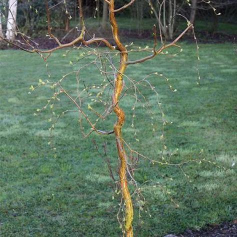 04c9ce00fc0cd0a592a3e010f78675e5