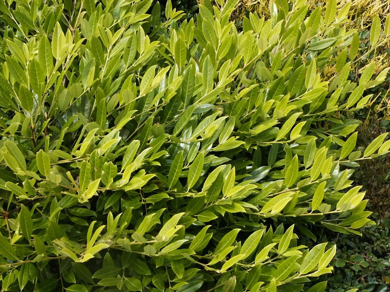 04d7237340bda1d9f01bf93e2cc92ebc